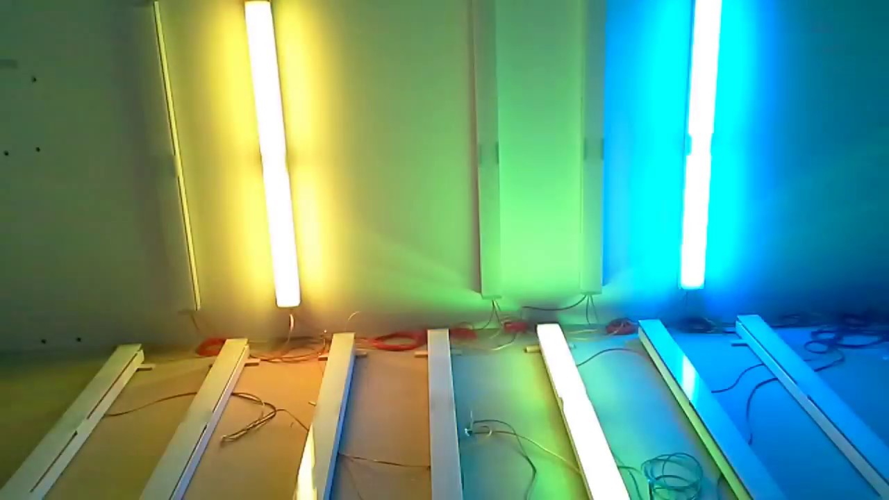 "Fur Elise" with Synth and MIDI Light Controller