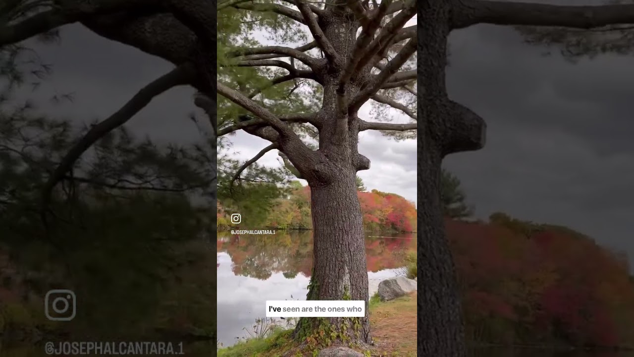 Boldness with kindness is leadership..