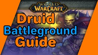 Clic Druids Guide For Battlegrounds - Alterac Valley And Warsong Gulch