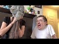 My guest   ricky berwick