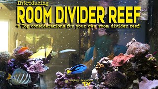 Introducing... Room Divider Reef! + The top considerations for your OWN room divider reef tank!