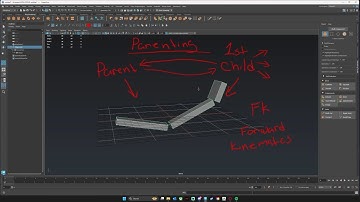 Basic Rigging Principles in Maya