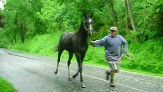 MOV04257.AVI