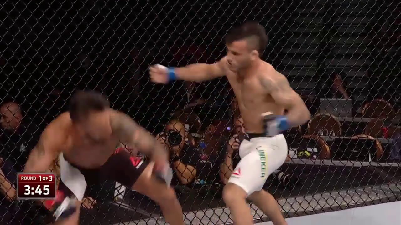Some of the best knockouts ever ufc/mma highlights! Music by Darrel