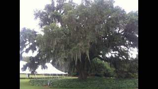 Winds Of Change By Rob Bagdis