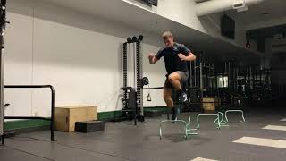 Diagonal Hurdle Continuous