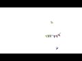 Line Rider Race - Tandem Survival