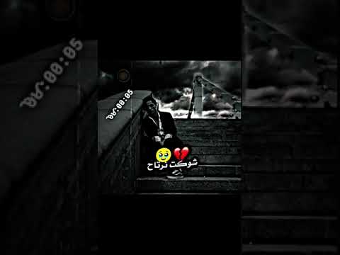 خضير هادي شوكت نرتاح