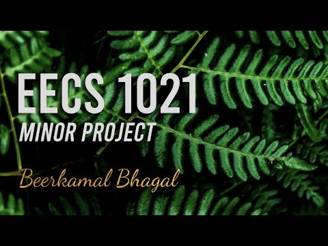 EECS 1021 - Minor Project