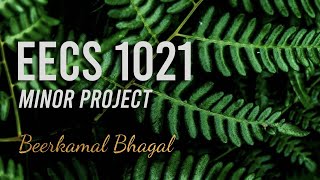 EECS 1021 - Minor Project