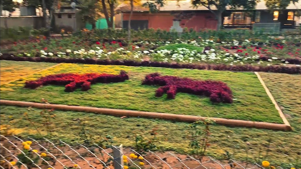 Why I wake up at 5:30 AM for College... (Mini Vlog)