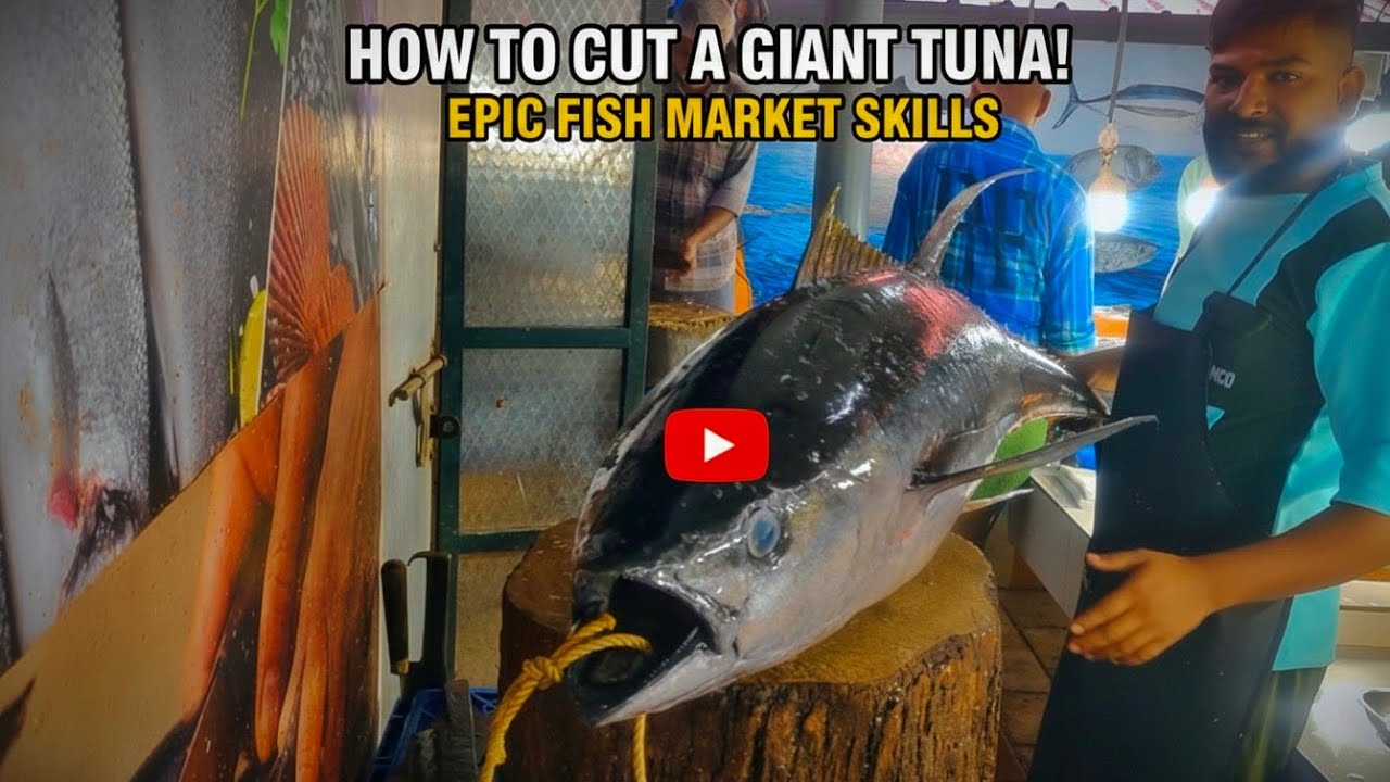 Big Tuna Fish Cutting | विशाल टूना मछली की कटिंग | Deep Sea Fish Cutting Full Video