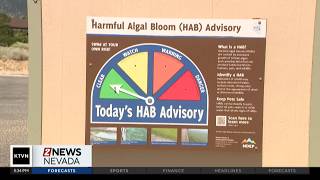 New task force formed to monitor harmful algal blooms or HABS in our bodies of water