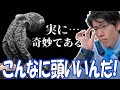 タコの知能、進化の過程の解説動画を見るはんじょう【2024/08/15】