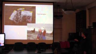 Outnumbered On Bogoslof Island