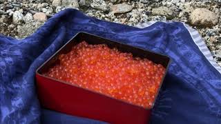 溢れるほどのイクラで釣りしてみた