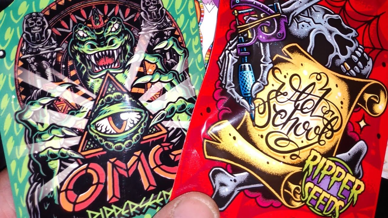 The 2021 Outdoor CANNABIS garden!!