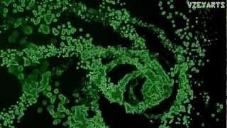 JamerikanBeatz - Say Techno (Techno) [GEMA]
