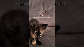 Aynen Knk Net 50Bin Izlenir Şfetteyiz