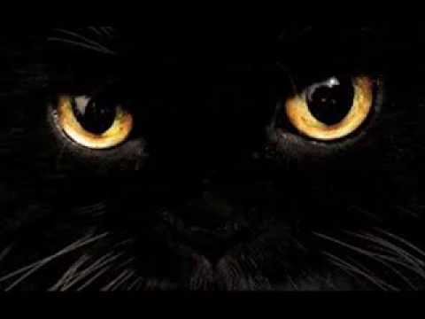 زمن الصحاب كلمات خالد جمال لحن وتوزيع وغناء احمد شمس