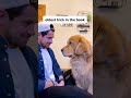 #funny #cat #pets #animals #dog #cute #cats #memes #dogs #funnyanimals