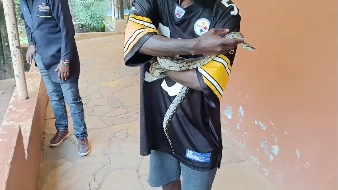 Exploring Snakes at the Nairobi Snake Museum | Family Vlog Adventure!
