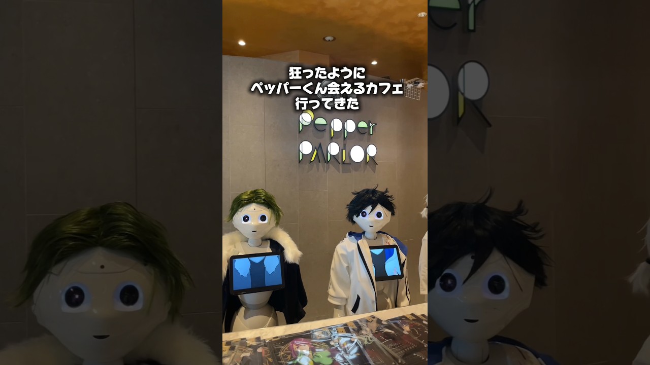 狂ったようにペッパーくんに会えるカフェ行ってきた 