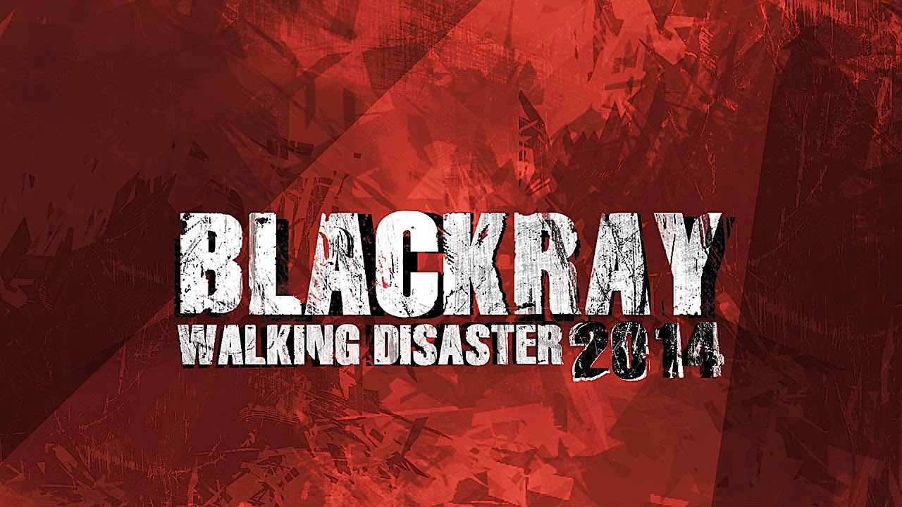 Sum 41 - Walking Disaster (Almost Awesome Acoustic Cover 2014)