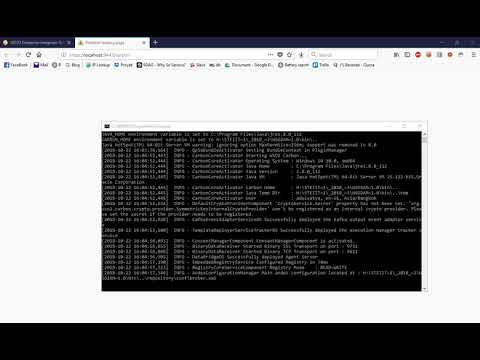WSO2 API Manager & WSO2 Business Process Server Integration Single Node