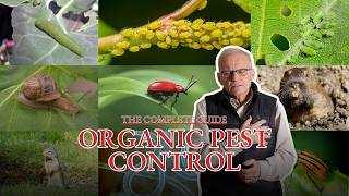 The Complete Guide To Organic Pest Control (aphid, thrip, slugs, moles, sawflies, and more!)