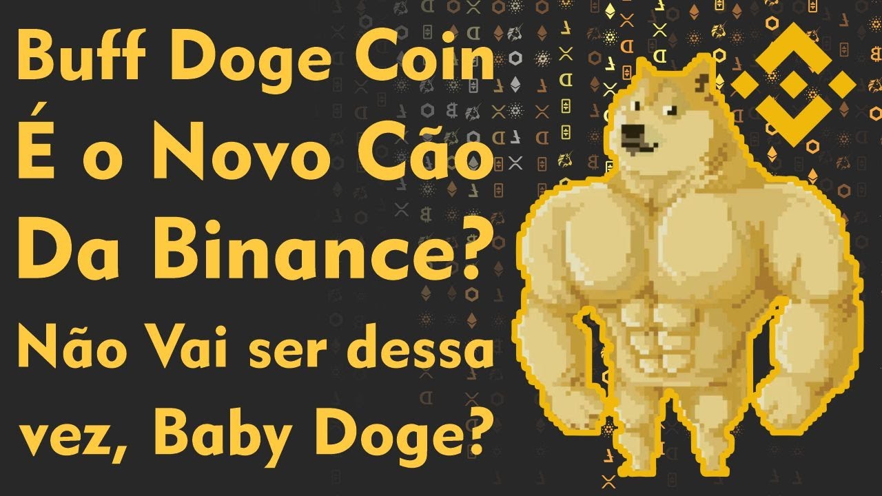 Buff Doge Coin é o novo Cão da Binance? Não vai ser dessa vez, Baby Doge? Buff Doge Coin é o novo Cão da Binance? Não vai ser dessa vez, Baby Doge?
