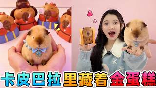 卡皮巴拉里藏著「金蛋糕」！還有黏糊糊海豹湯圓，能兌換可愛鼠鼠！【桂圆子手作坊】