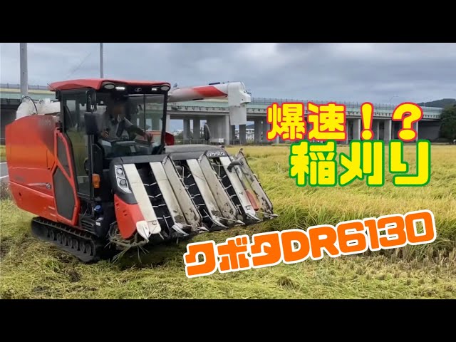 稲刈り2024！クボタコンバインDR6130 - YouTube