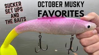 OUR FAVORITE OCTOBER MUSKY BAITS and Muskie Sucker Set Ups and Rigging