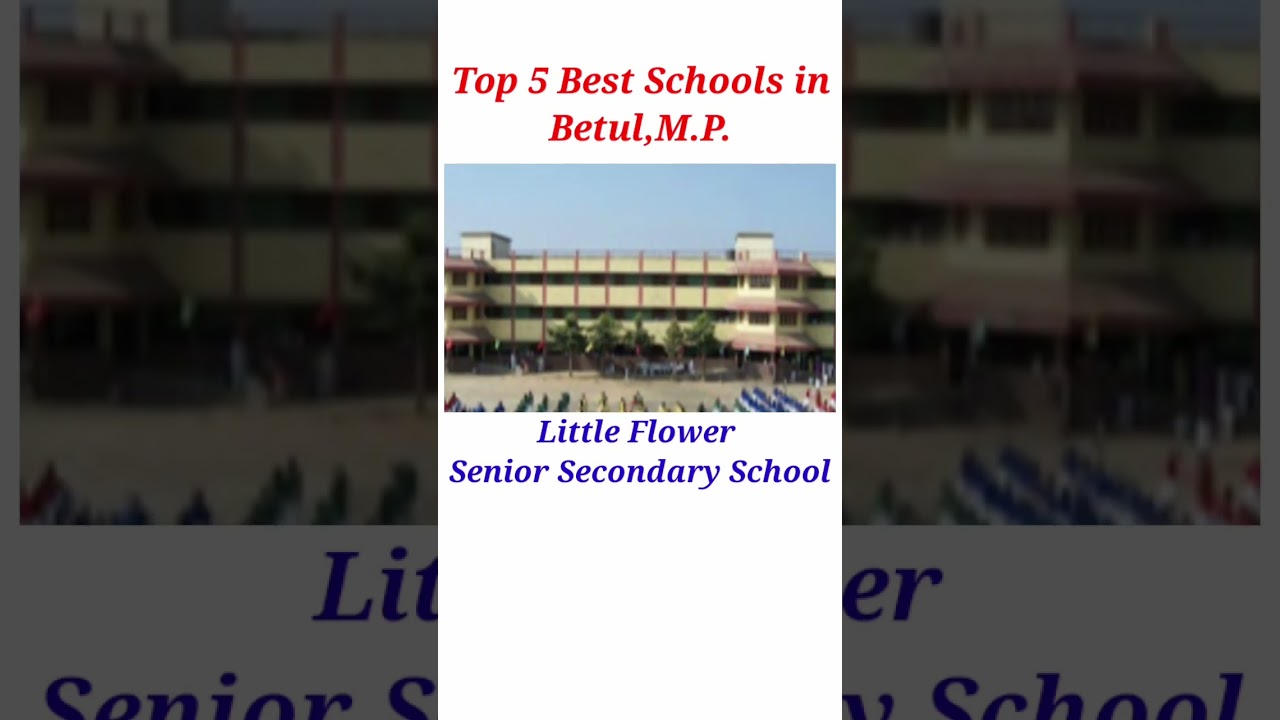 Top 5 Best Schools in Betul,M P