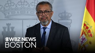 Head of WHO says global leaders should prepare for more hantavirus cases
