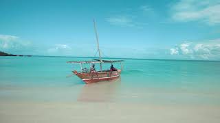 Beautiful Nature Scenery Relaxing Peaceful Soothing Music | Bird and Water Sound, Sleep Music No Ads