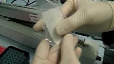 XBLOT - Western Blooth preparator by Integrated Systems Engineering