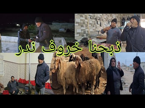 تقبل الله ذبحنا خروف ندر وزعنا على اهل الضيعه اكسبلور قناه ام رودي 