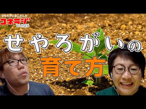 「せやろがいの育て方」コネラジ 第25回 日替わりMCおかん