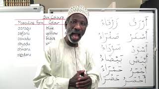 Gateway to Arabic Book 2, Lesson Twenty-One: Colours in their ...