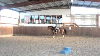 Can Do It Dressurtraining 04 01 2015 3