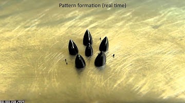 Self-assembly of magnetic droplets on a superhydrophobic surface