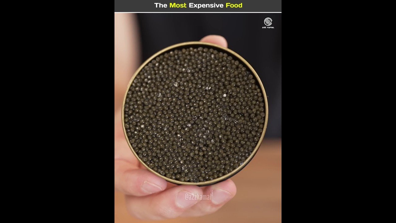 The Most Expensive Food 🤑 