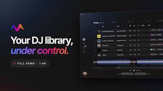 Organize, Tag and Build DJ Sets Visually · Vibes Demo screenshot 2