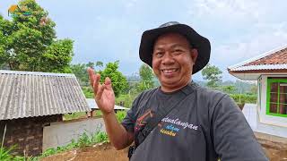 Akhirnya Yang Di Takutkan Mulai Terjadi.Akibat Tidak Ada Pekerjaan Domba Dari Donatur Mulai Di Jual.