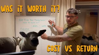 Is Raising Lambs Worth It? Our First Year Smallholding Cost Breakdown 🐑💰