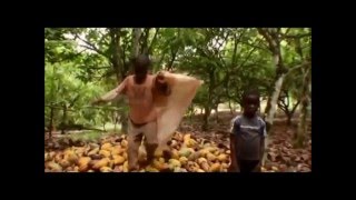 FAIR TRADE the dark side of chocolate