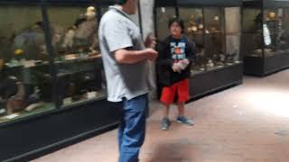 Aqp animales disecados La Recoleta screenshot 5