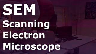 Training session SEM-EDS - Pt12